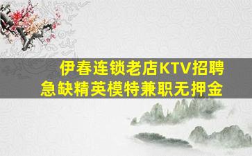 伊春连锁老店KTV招聘急缺精英模特兼职无押金